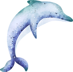 4-dolphin