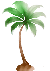 LeBargePalmtree
